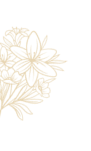Moving Image 1
